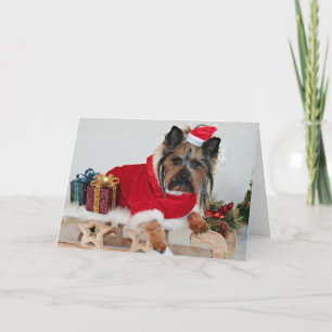 Yorkie Yorkshire Terrier Dog - Christmas Santa Hat Holiday Card
