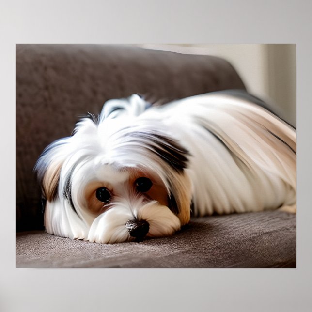 Yorkie, Yorkshire Terrier, Experiencing Ennui  Poster (Front)
