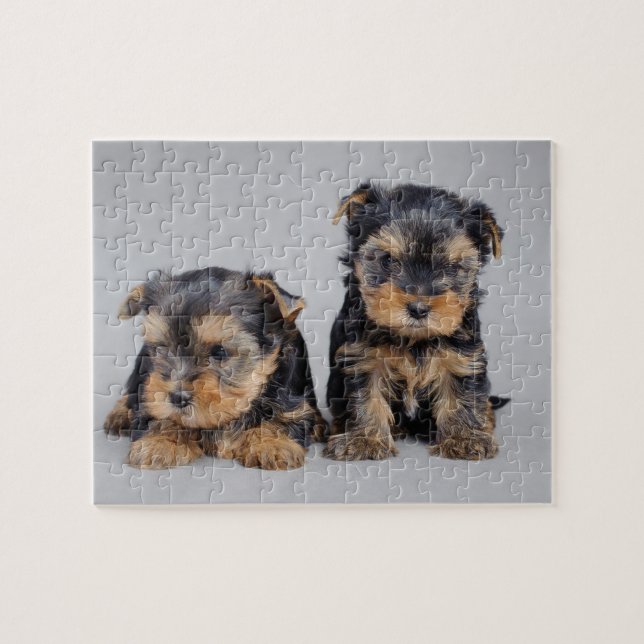 Yorkies Jigsaw Puzzle (Horizontal)