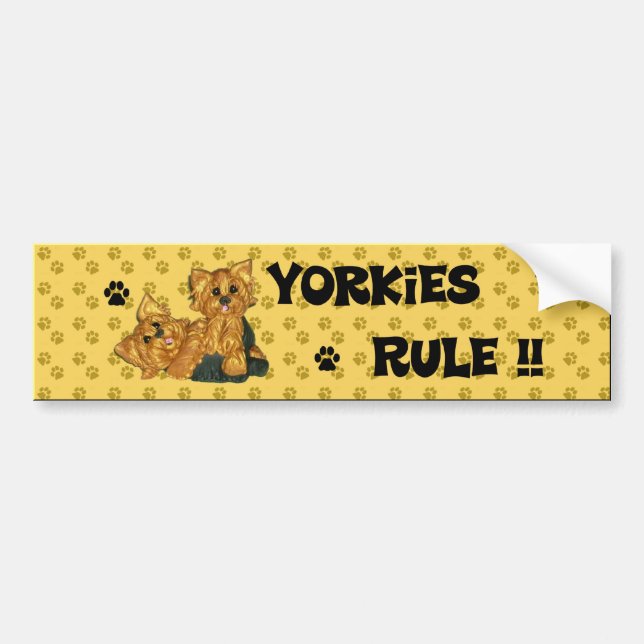 Yorkies Rule!! Bumper sticker (Front)