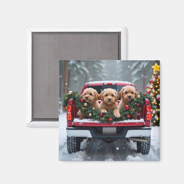 Yorkipoo Christmas Red Truck Holiday Gift Magnet (Front/Back)