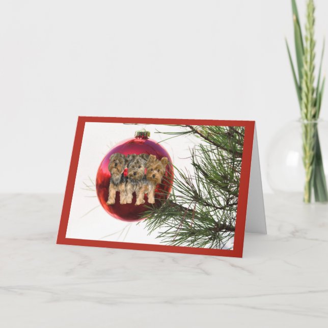 Yorkshir Terrier Christmas Card Ball Hanging (Front)
