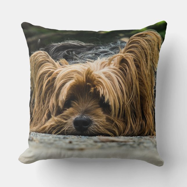 Yorkshire Closeup Cushion (Front)