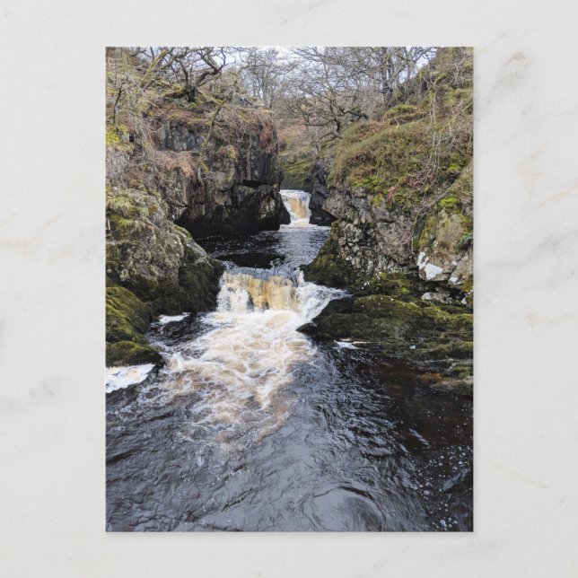 Yorkshire Dales, Ingleton - Rival Falls Postcard (Front)