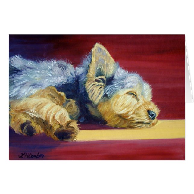 Yorkshire Terrier (Front Horizontal)