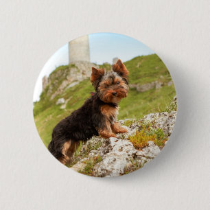 Yorkshire Terrier 6 Cm Round Badge