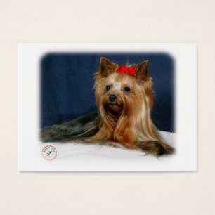 Yorkshire Terrier 9Y110D-064