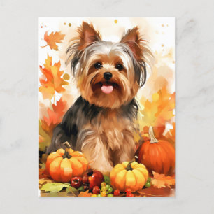 Yorkshire Terrier Autumn Thanksgiving  Postcard