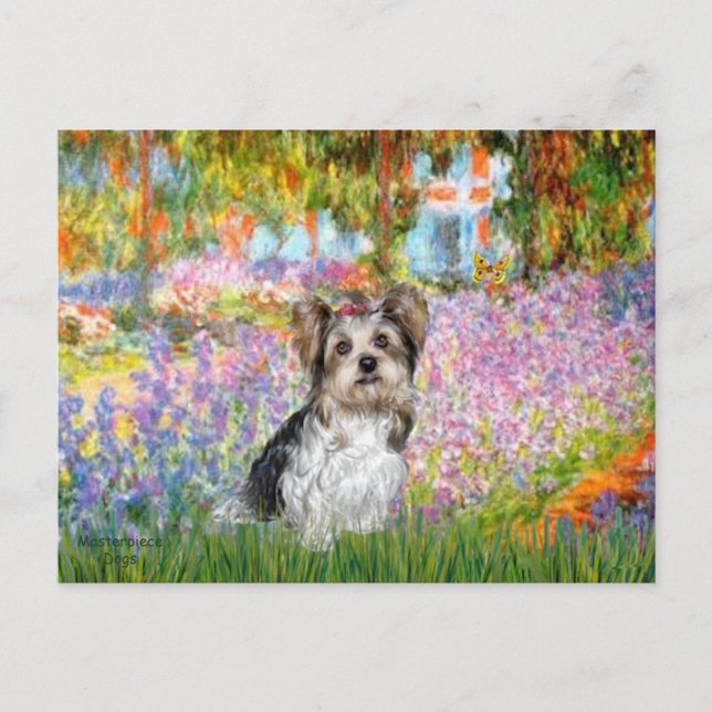 Yorkshire Terrier (Biewer) - Garden Postcard (Front)