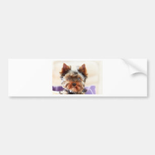 Yorkshire Terrier Bumper Sticker