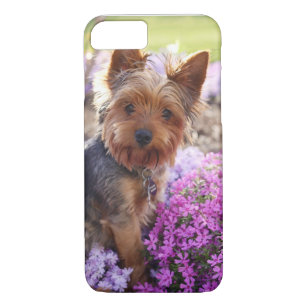 Yorkshire Terrier iPhone 8/7 Case