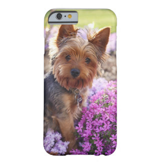 Yorkshire Terrier Barely There iPhone 6 Case