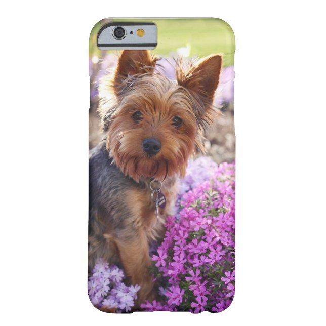Yorkshire Terrier Case-Mate iPhone Case (Back)