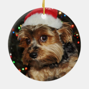 Yorkshire terrier ceramic tree decoration