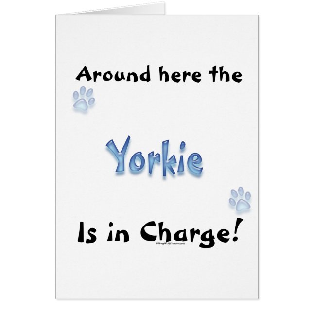 Yorkshire Terrier Charge (Front)