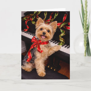 Yorkshire Terrier Christmas Card with Piano