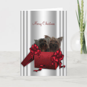 Yorkshire Terrier Christmas Holiday Card