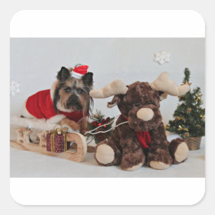 yorkshire-terrier-christmas moose square sticker