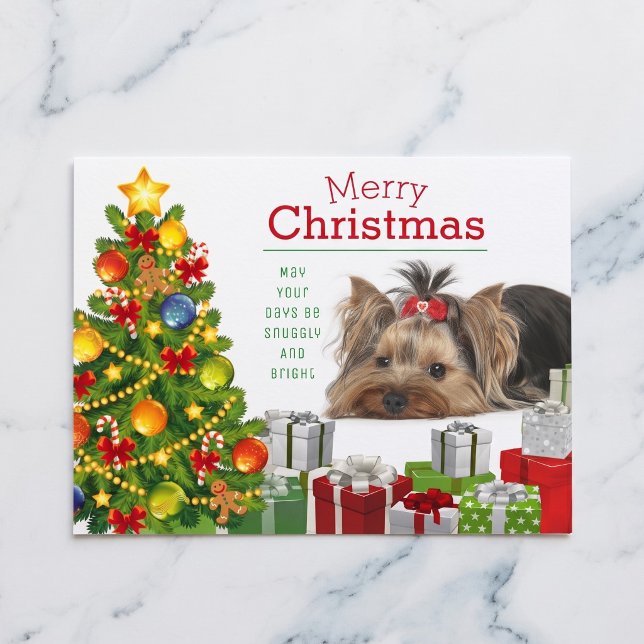 Yorkshire Terrier Christmas Postcard (Yorkshire Terriers make the season bright.)