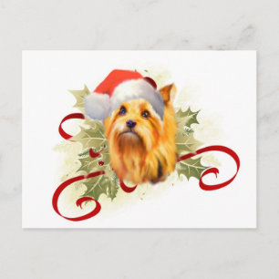 Yorkshire Terrier Christmas Postcard
