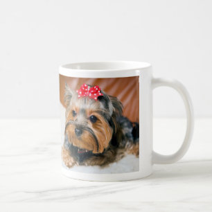 Yorkshire Terrier Coffee Mug