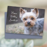 Yorkshire Terrier Custom Birthday Card<br><div class="desc">Yorkshire terrier birthday card greeting. Simple “Happy Birthday” text with name or “sweetheart”, and a place for a signature. A little Yorkie’s face is the adorable image. Perfect for giving to a man or woman. The dog photo can be replaced with one of your own. If needed, the text colour...</div>