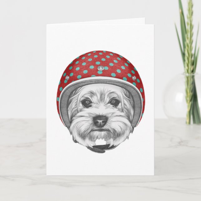 Yorkshire Terrier Daredevil Card (Front)