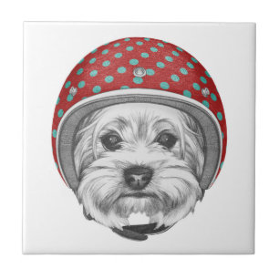 Yorkshire Terrier Daredevil Ceramic Tile