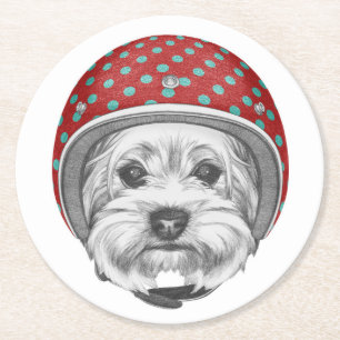 Yorkshire Terrier Daredevil Round Paper Coaster
