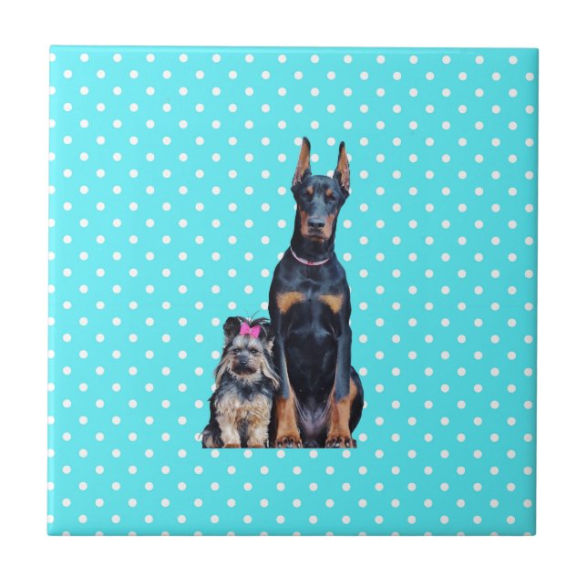 Yorkshire Terrier Doberman Blue Polka Dots Tile (Front)