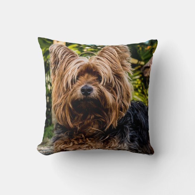 Yorkshire Terrier Dog Cushion (Front)