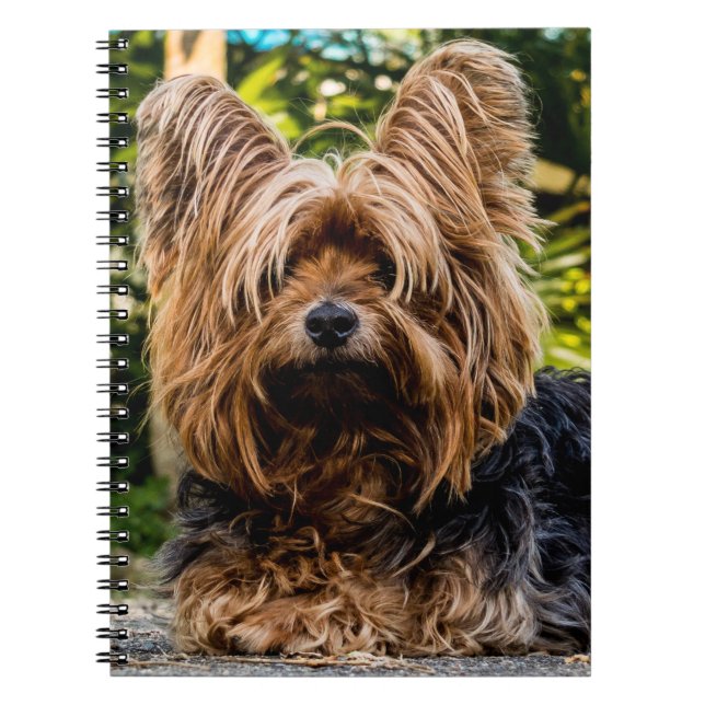 Yorkshire Terrier Dog Notebook (Front)