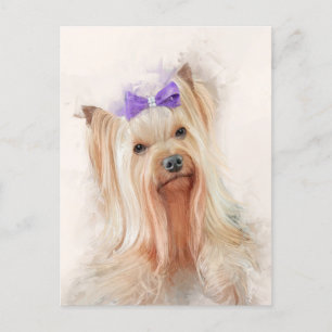 Yorkshire Terrier Dog Portrait Postcard