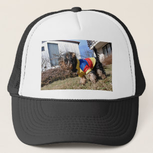 Yorkshire Terrier Dog Trucker Hat