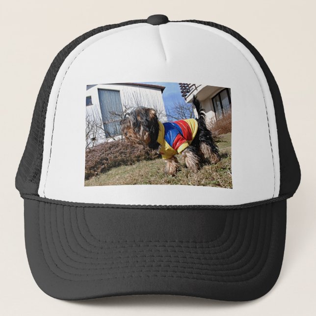 Yorkshire Terrier Dog Trucker Hat (Front)
