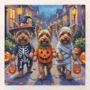 Yorkshire Terrier Dogs in Halloween Costumes Glass Coaster