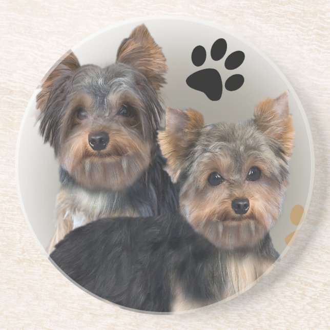 Yorkshire Terrier Double Trouble Coaster (Front)