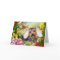 Yorkshire Terrier Easter Cards