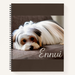 Yorkshire Terrier, Experiencing Ennui Journal 