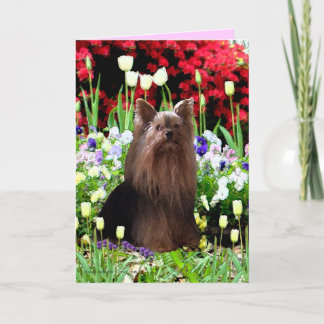 Yorkshire Terrier & Flowers Thank You Card