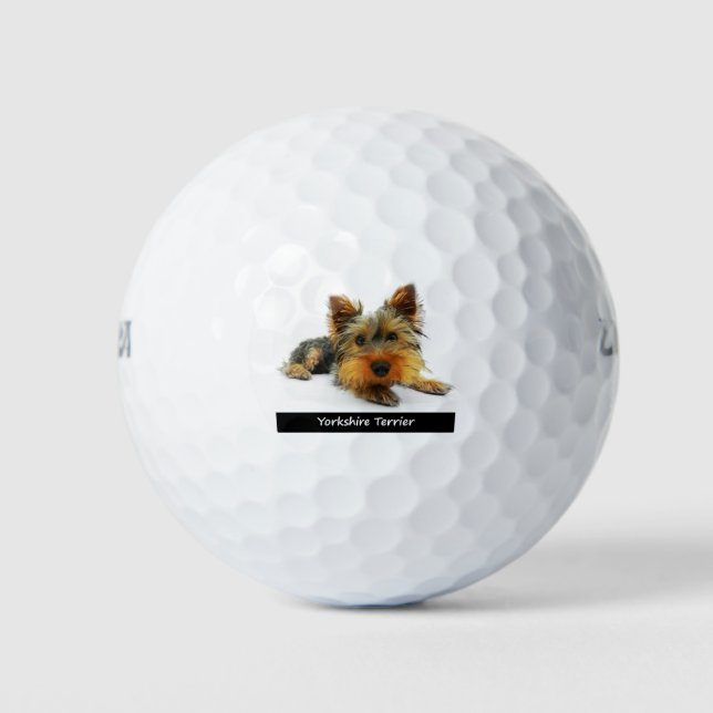 Yorkshire Terrier Golf Balls (Front)