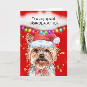 Yorkshire terrier granddaughter cute Xmas wishes Card