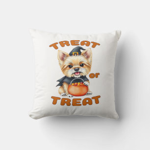 Yorkshire Terrier Halloween Dog Costume �Treat or Cushion
