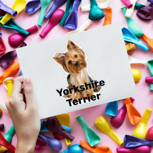 Yorkshire Terrier Happy Birthday Die Cut Sticker