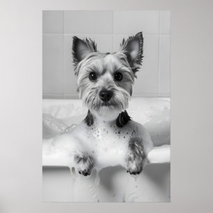 Yorkshire Terrier in Bathtub Print, Funny Dog Poster