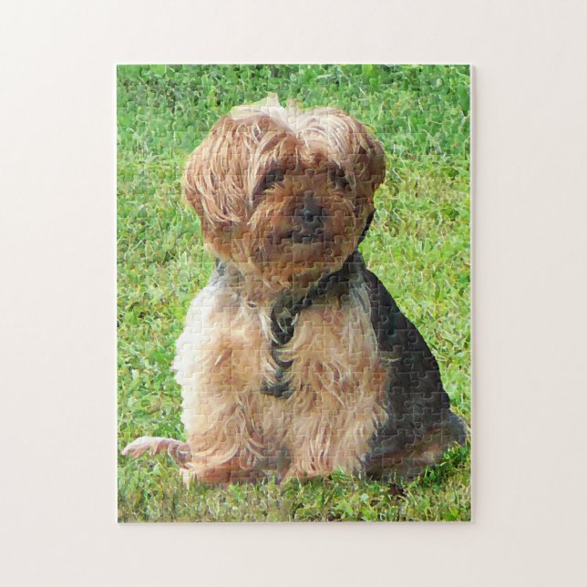 Yorkshire Terrier in Park Jigsaw Puzzle (Vertical)
