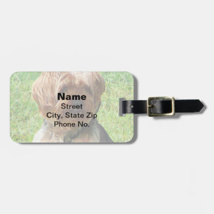Yorkshire Terrier in Park Luggage Tag