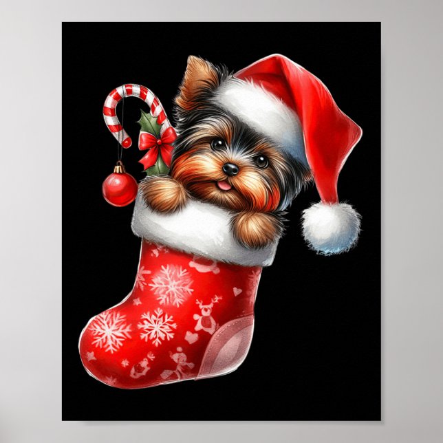 Yorkshire Terrier In Sock Christmas Santa Hat Xmas Poster (Front)