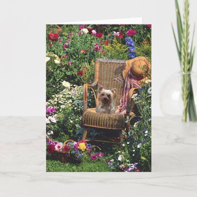Yorkshire Terrier In The Garden Greeting Card (Front)