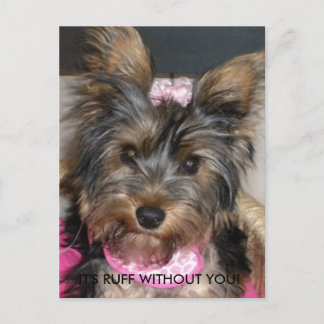 Yorkshire Terrier, IT'S RUFF WITHOUT YOU! Postcard